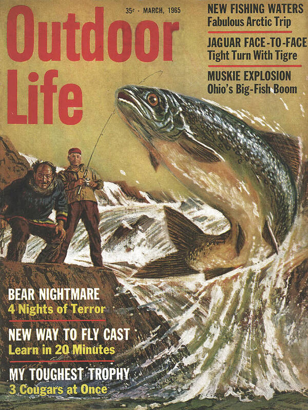 Trout Poster featuring the drawing Outdoor Life Magazine Cover March 1965 by Outdoor Life