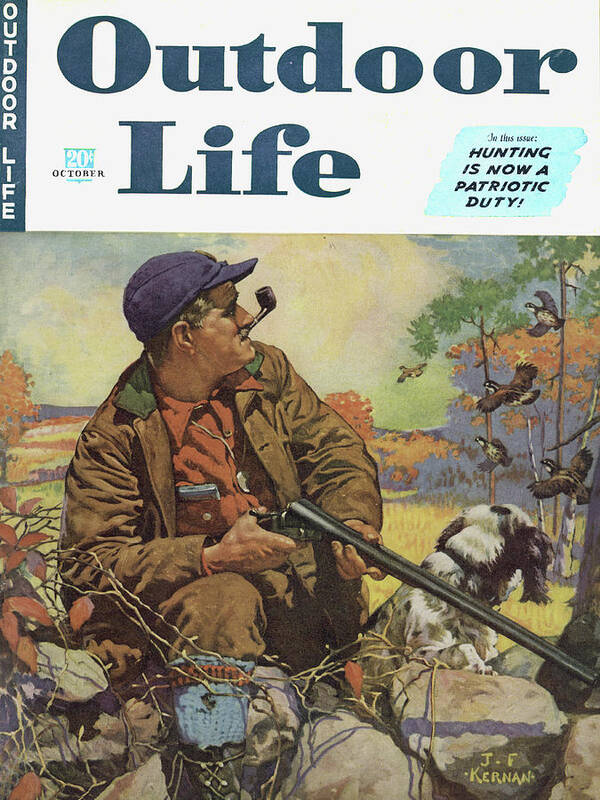 Upland Bird Hunting Poster featuring the painting Outdoor Life Magazine Cover October 1942 by Outdoor Life