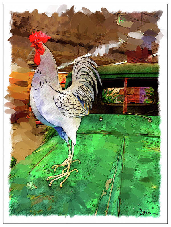 Rooster Poster featuring the photograph Perched by Peggy Dietz