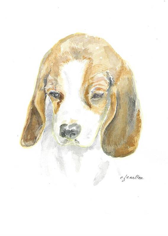 Puppy Poster featuring the painting Pound Puppy - Watercolor by Claudette Carlton