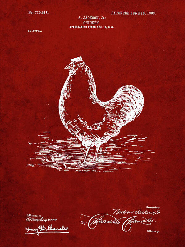 Pp497-burgundy Chicken Patent Poster Poster featuring the digital art Pp497-burgundy Chicken Patent Poster by Cole Borders