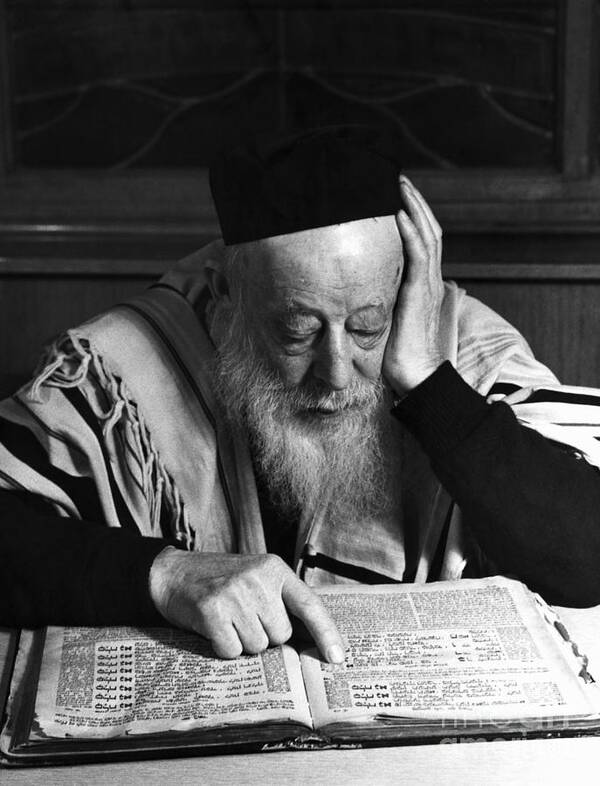 People Poster featuring the photograph Rabbi Reading The Talmud by Bettmann