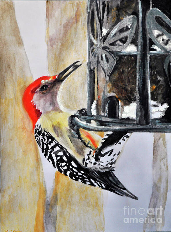 Woodpecker Poster featuring the mixed media Red Bellied Woodpecker by Lori Moon