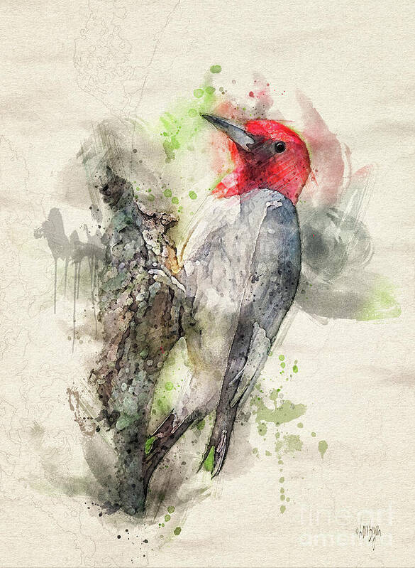 Bird Poster featuring the digital art Red Headed Woodpecker by Lois Bryan