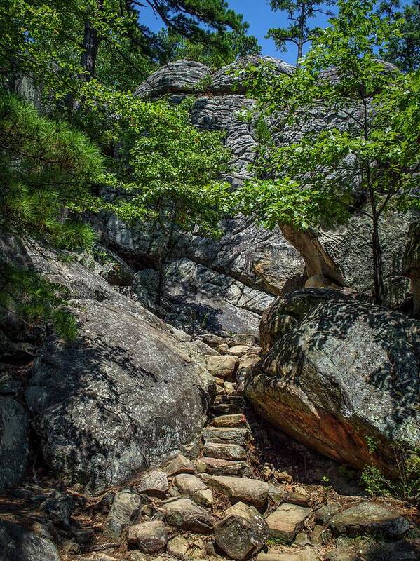 Steps Poster featuring the photograph Robbers Cave Steps by Buck Buchanan