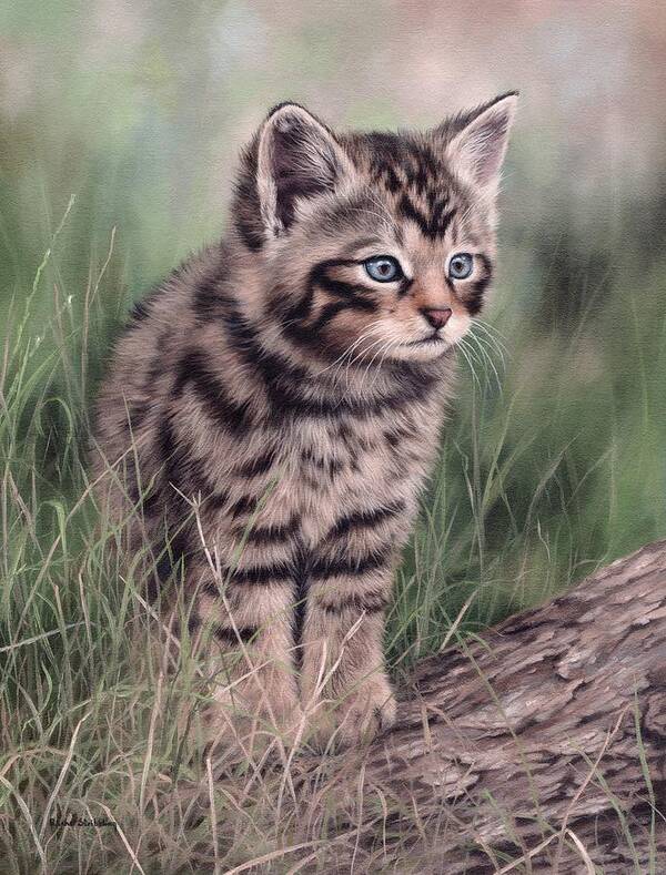 Cat Poster featuring the painting Scottish Wildcat Kitten by Rachel Stribbling