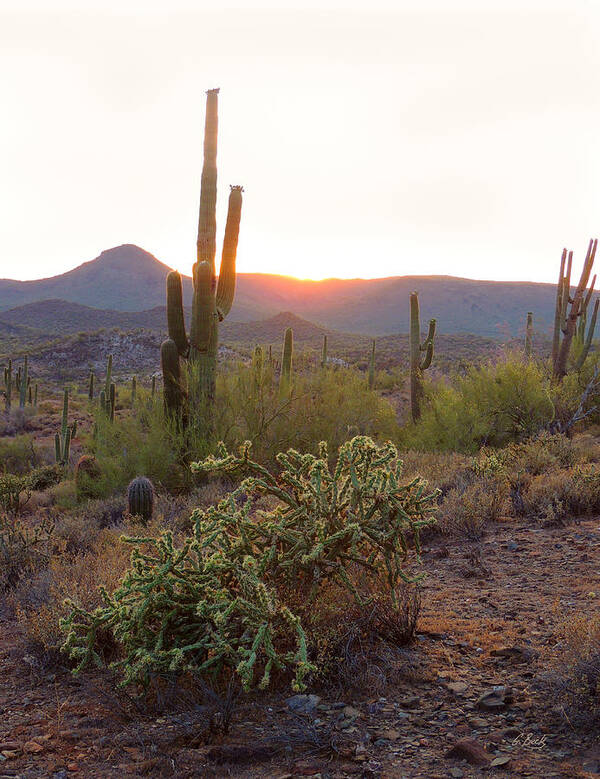 Tramonto Poster featuring the photograph Setting Sun by Gordon Beck