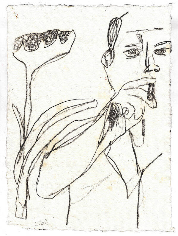 White Poster featuring the drawing Smoker and Sunflower Pencil by Edgeworth Johnstone