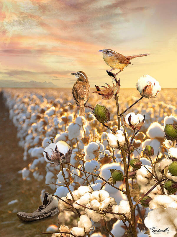 Cotton Poster featuring the digital art Song of the Wren by M Spadecaller