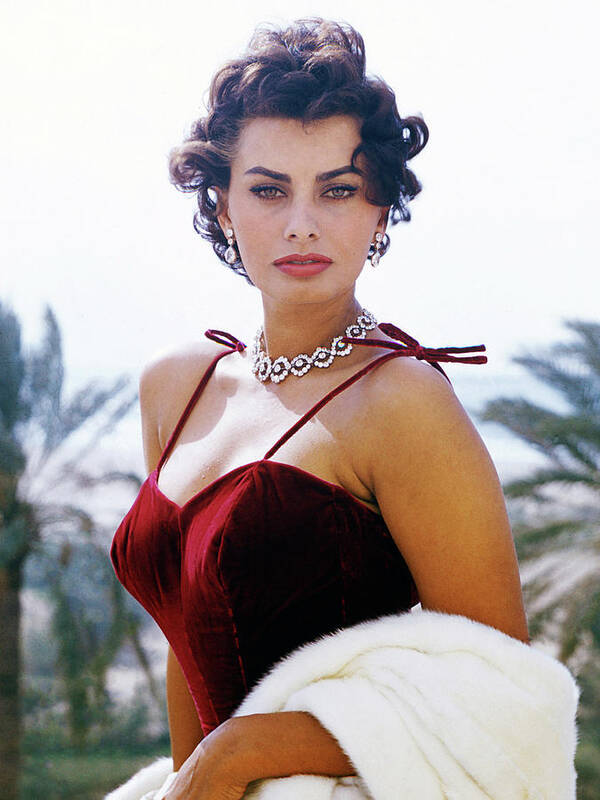 1960s Poster featuring the photograph Sophia Loren: Lady In Red by Globe Photos