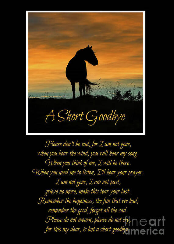 Spiritual Poster featuring the photograph Spiritual Sympathy Poem with Horse by Stephanie Laird