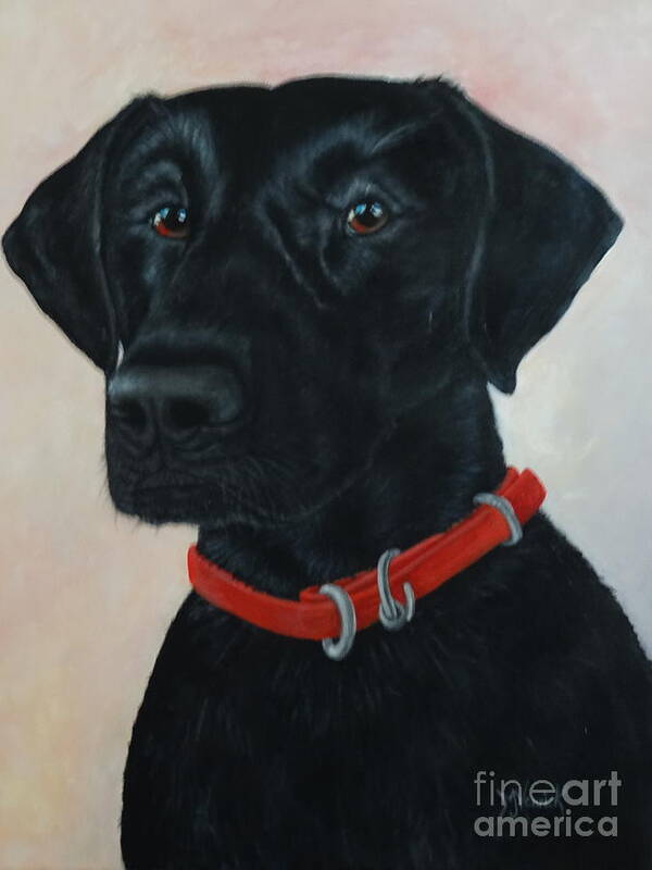 Dog Poster featuring the painting Suzy by M J Venrick