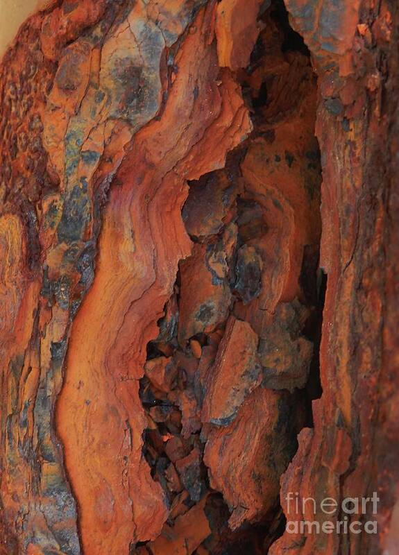  Beauty Of Rust Poster featuring the photograph The Beauty of Rust by Marcia Lee Jones