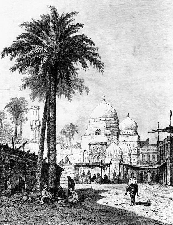 Engraving Poster featuring the drawing The Cairo Old Man, Egypt, 1880. Artist by Print Collector