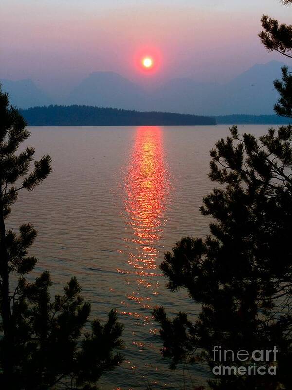 Sun Poster featuring the photograph The Sun Also Shines by Mountain Femme