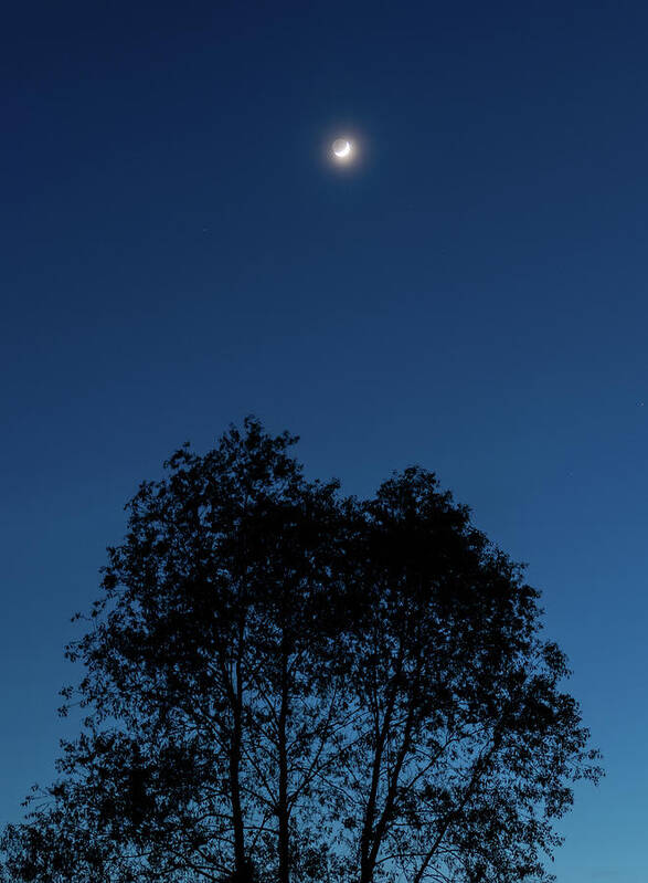 Moon Poster featuring the photograph Tranquil Crescent by Arthur Oleary