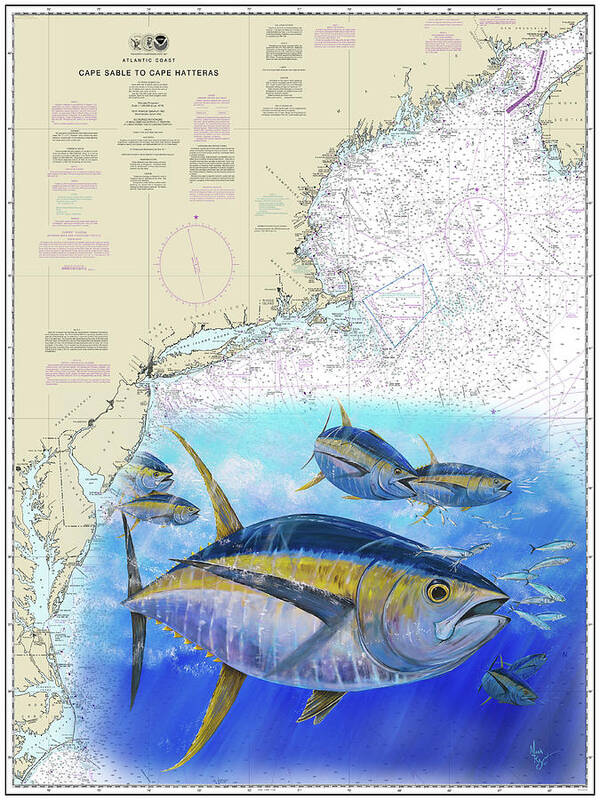 Tuna Poster featuring the painting Tuna Chart by Mark Ray
