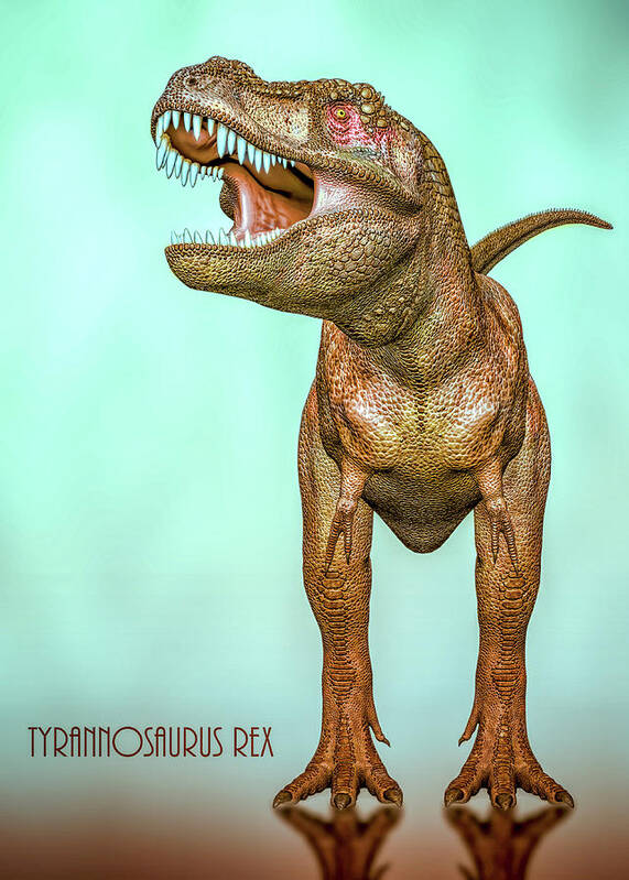 Tyrannosaurs Rex Poster featuring the digital art Tyrannosaurs Rex by Bob Orsillo