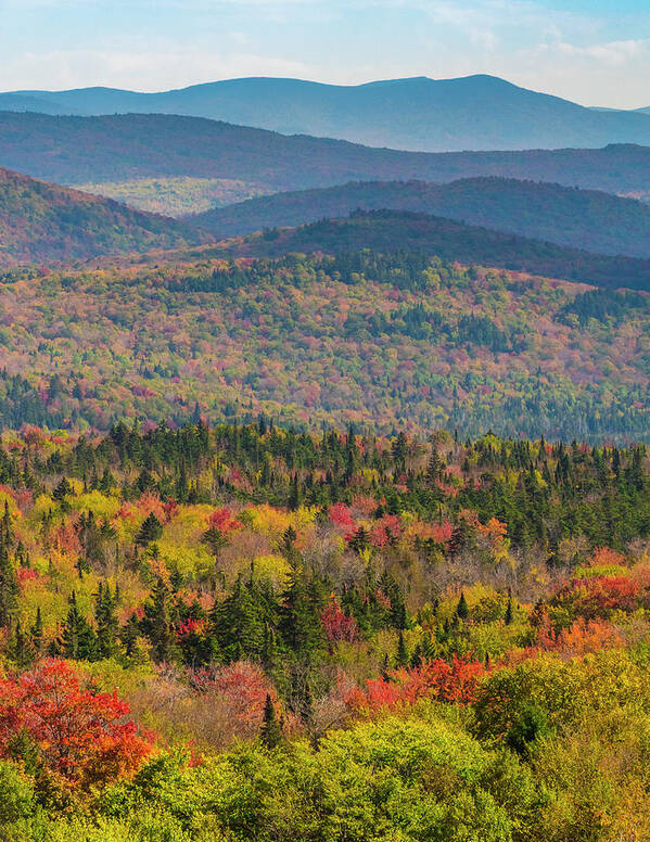 Vermont's Colors Poster featuring the photograph Vermont's Colors by Brenda Petrella Photography Llc