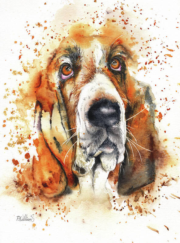 Basset Hound Poster featuring the painting Wet Basset by Peter Williams