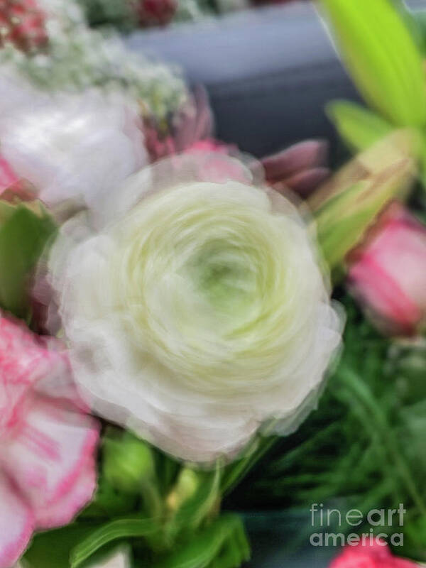 Abstract Poster featuring the photograph White rose abstract by Phillip Rubino