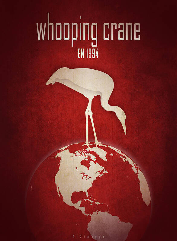 Crane Poster featuring the digital art Whooping crane by Moira Risen