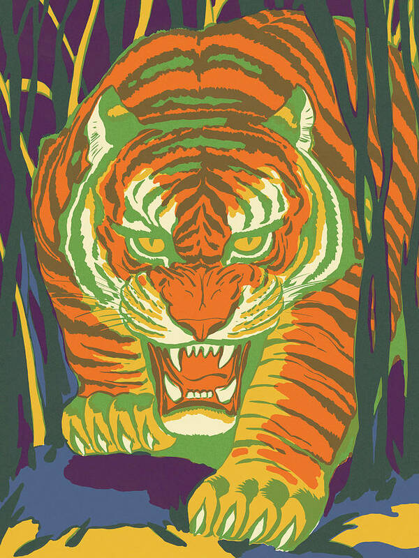 Animal Poster featuring the drawing Wild Tiger by CSA Images