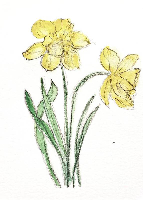 Yellow Flowers Poster featuring the painting Daffodils #1 by Margaret Welsh Willowsilk