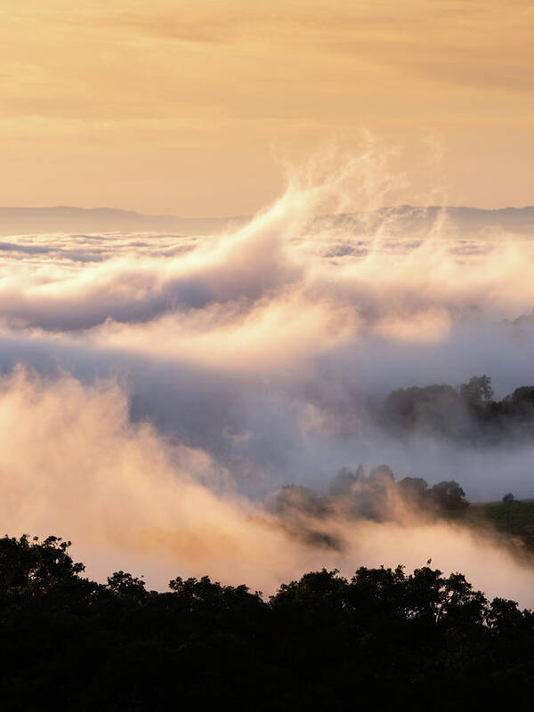 Landscape Photography Poster featuring the photograph Fog Waves #1 by Shelby Erickson