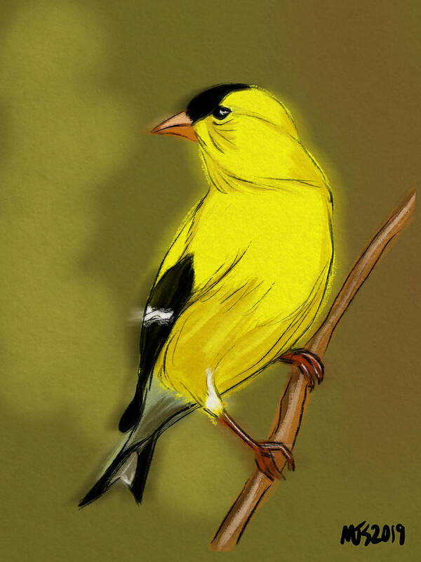 Birds Poster featuring the digital art Goldfinch #1 by Michael Kallstrom