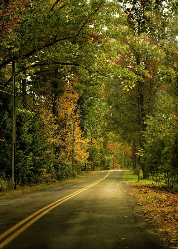 New England Poster featuring the photograph Granby, Massachusetts road in autumn #1 by Cordia Murphy