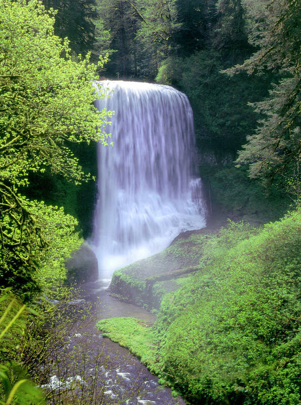 Waterfalls Poster featuring the photograph Sliver Falls State Park #1 by David L Moore