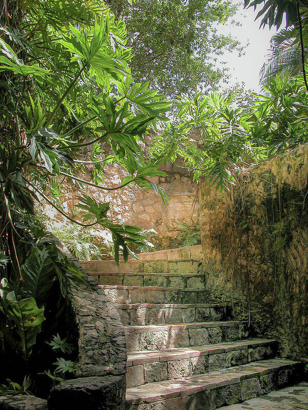 Chichen Itza Poster featuring the photograph Steps near cenote - Chichen Itza #1 by Frank Mari
