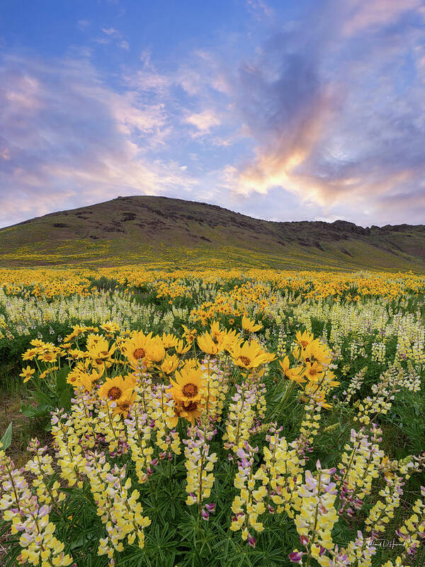 Nature Poster featuring the photograph A Warm Spring Sunrise in Idaho by Leland D Howard