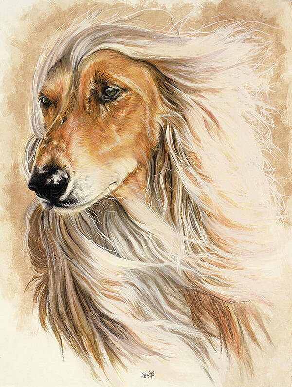 Hound Poster featuring the mixed media Afghan Hound in Watercolor by Barbara Keith