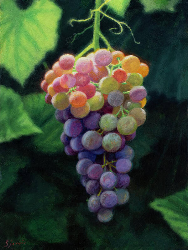 Fruit Poster featuring the painting Almost Ripe by Susan N Jarvis