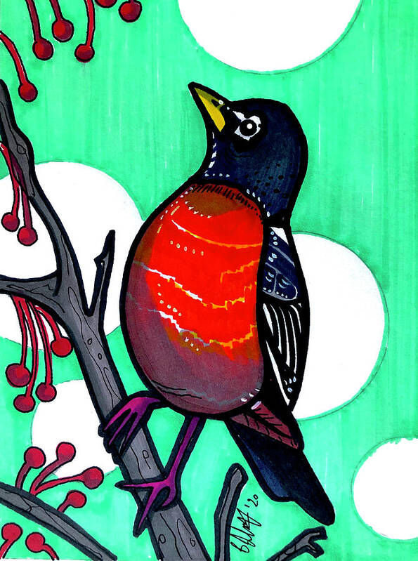 American Robin Poster featuring the drawing American Robin by Creative Spirit