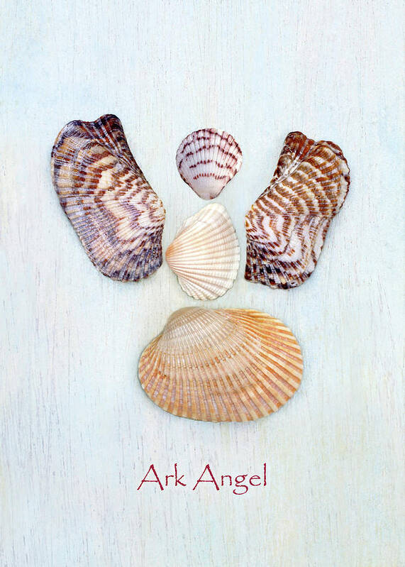Angel Poster featuring the photograph Ark Angle II by Kathi Mirto