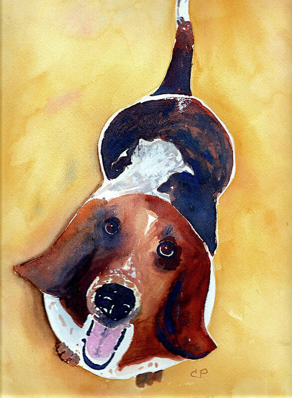 Pet Poster featuring the painting Basset Hound by Cheryl Prather