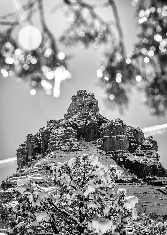 Sedona Poster featuring the photograph Bell Rock Sedona Arizona Coated in Snow by Good Focused