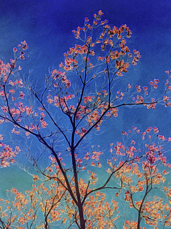 Dogwood Trees Poster featuring the digital art Blue Ocean Dogwoods by Kevin Lane