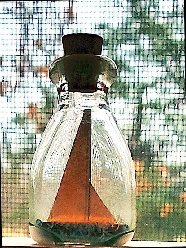 Miniatures Poster featuring the photograph Boat in a Bottle by Stacie Siemsen