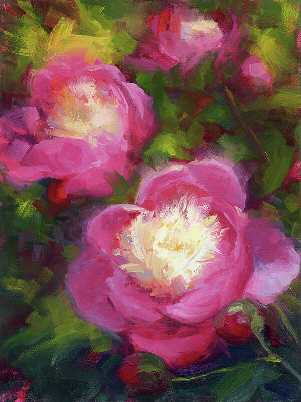Paeonia Poster featuring the painting Bowls of Beauty - Alaskan peonies by Talya Johnson