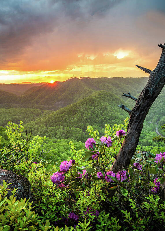 Sunset Poster featuring the photograph Breaks Interstate Park KY VA Sunset Scenic Rhododendron by Robert Stephens