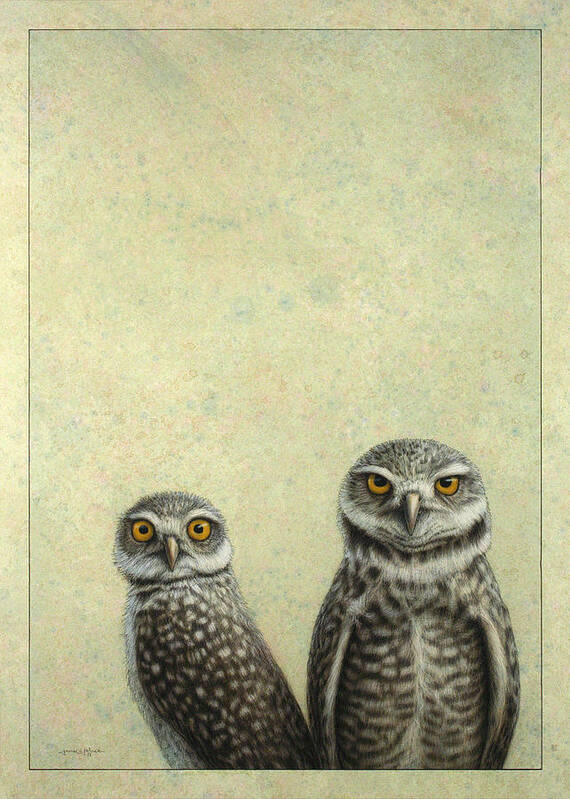 Owls Poster featuring the painting Burrowing Owls by James W Johnson