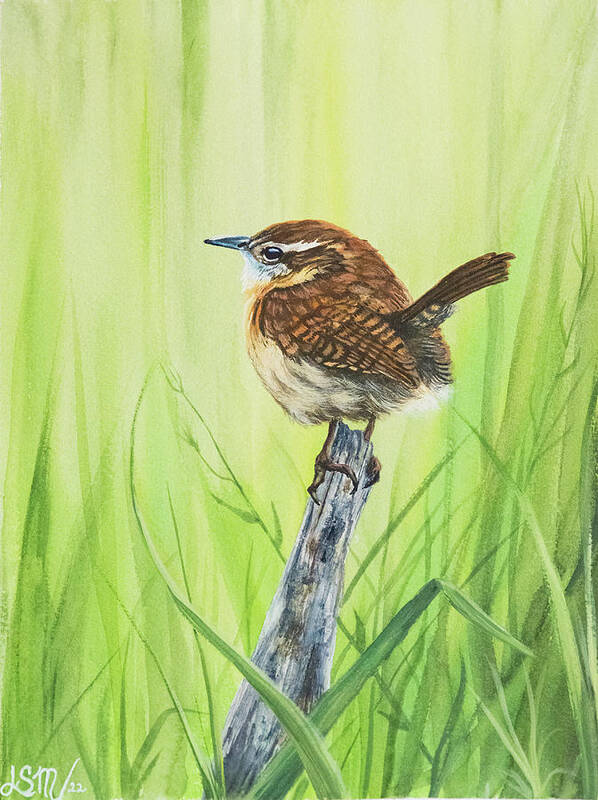 Nature Poster featuring the painting Carolina Wren by Linda Shannon Morgan