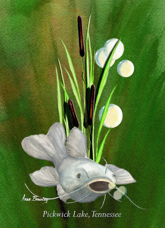Catfish Poster featuring the painting Catfish At Pickwick Lake by Anne Beverley-Stamps