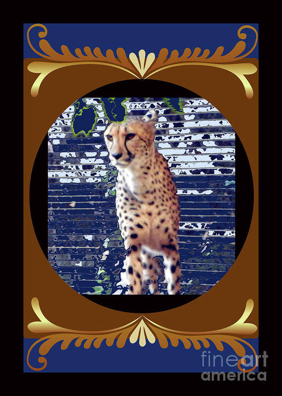  Poster featuring the photograph Cheetah by Shirley Moravec