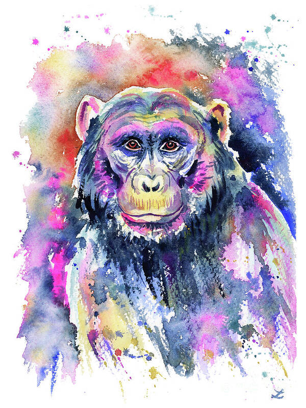 Chimpanzee Poster featuring the painting Chimpanzee by Zaira Dzhaubaeva