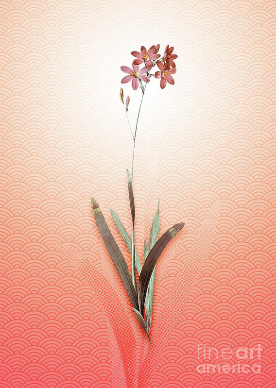 Corn Poster featuring the painting Corn Lily Vintage Botanical in Peach Fuzz Seigaiha Wave Pattern n.1832 by Holy Rock Design
